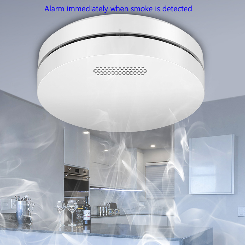Lighting Visual - Tuya WiFi Detection Audible and Visual